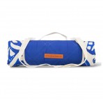 Picnic Mat | Picnic Mat | Blue Oasis Picnic Mat | Picnic Mat | Blue Oasis